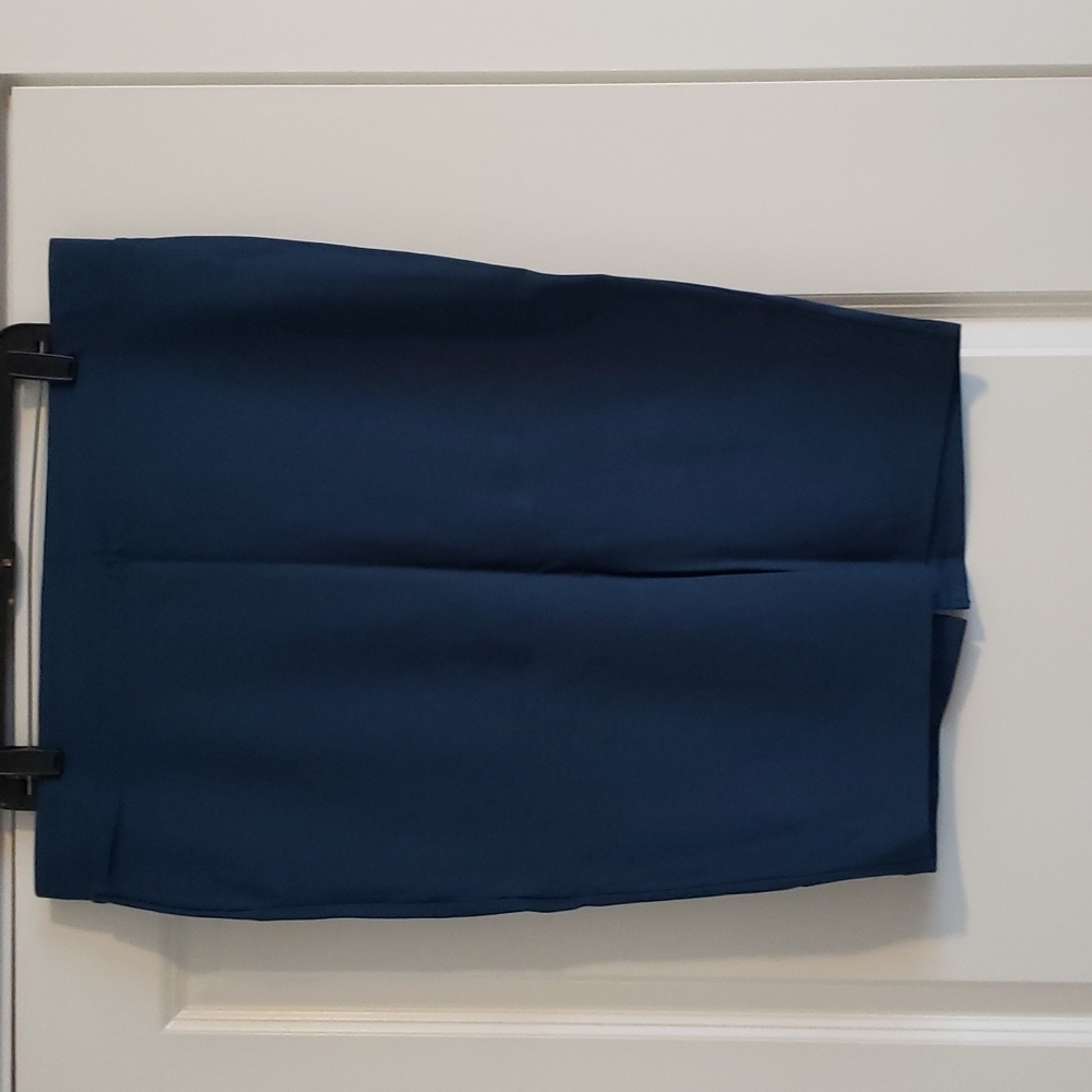NWOT Torrid Skirt